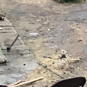 Meet your Posher, Fred